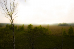 Ølene 008a