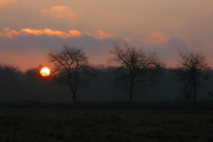 109 Bornholm 2005